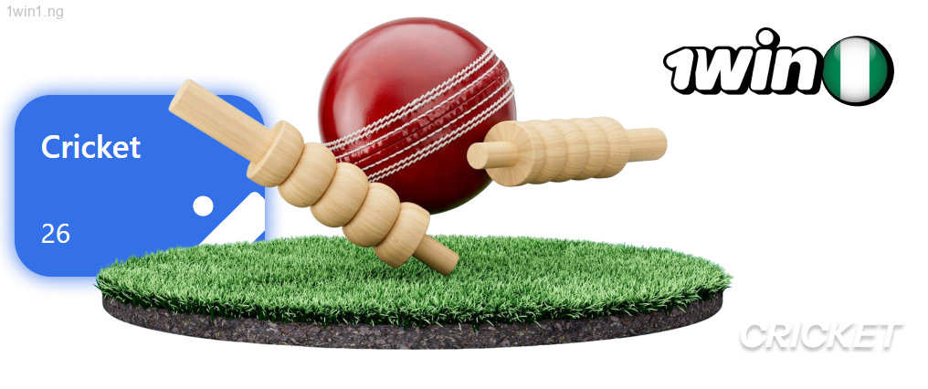 1win provides extensive cricket betting options